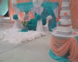 Decoration of Event Venues